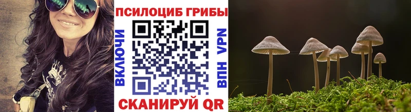 Псилоцибиновые грибы Magic Shrooms  ОМГ ОМГ как войти  Южноуральск 