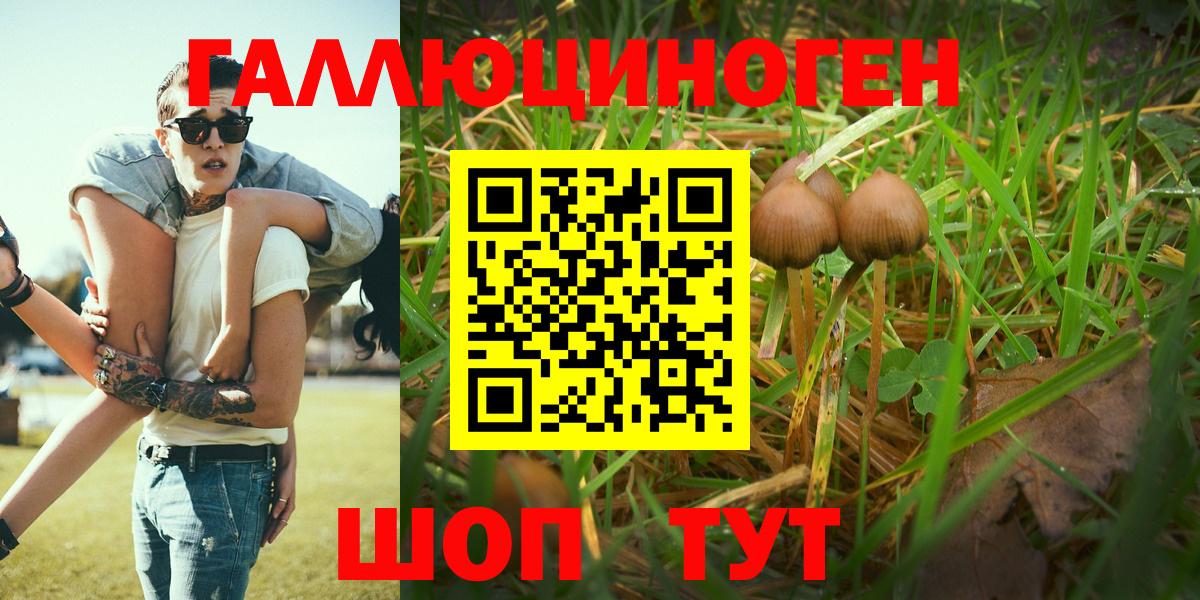 Псилоцибиновые грибы мухоморы  Псилоцибиновые грибы мухоморы  Южноуральск  закладки  Вход с VPN 