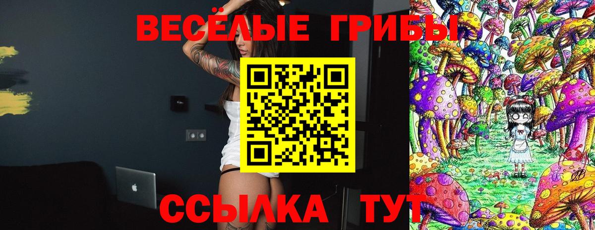 Галлюциногенные грибы Psilocybine cubensis  Южноуральск  Галлюциногенные грибы мицелий 