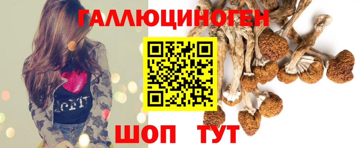 Галлюциногенные грибы Magic Shrooms Южноуральск